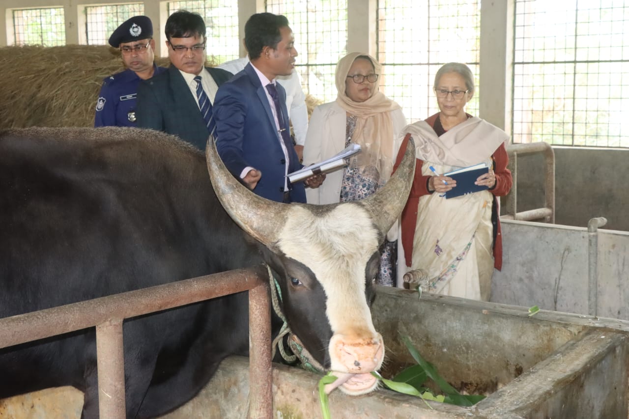 বিলুপ্ত প্রাণী সংরক্ষণ অত্যন্ত জরুরি